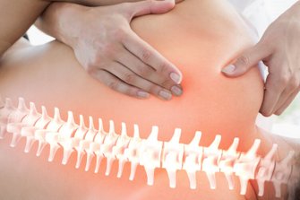 Spine being shown on the human body